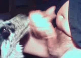 Pup and his filthy owner