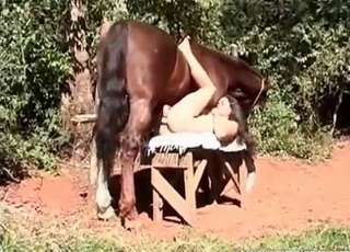 Horse fucks her tight anus