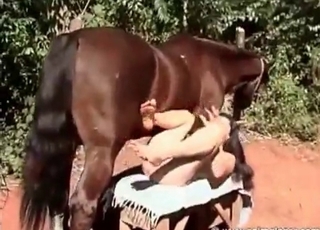 Horse fucks her tight anus