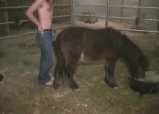 Dude penetrating a pony