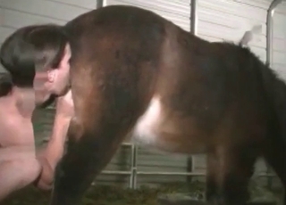Dude penetrating a pony