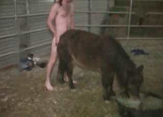 Dude penetrating a pony
