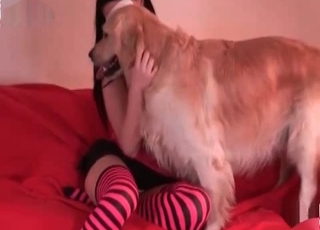 Pup licking masked girl