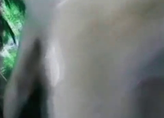 Trained dog pounds a crazy whore