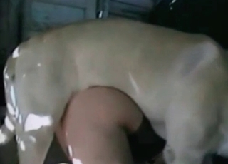 Trained dog pounds a crazy whore