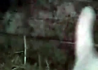 Pig pounding guys ass