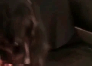 Mongrel drilling cunt