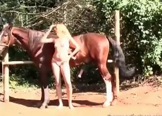 Small chick fucks a nice horse