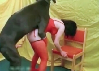 Girl in red stockings with her mutt