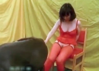 Girl in red stockings with her mutt