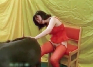 Girl in red stockings with her mutt