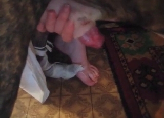 Cutie fucked hard by a dog