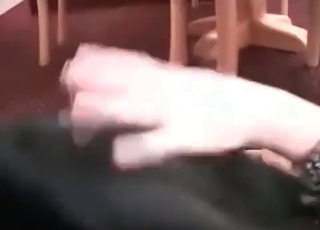 Woman gets into dirty zoo sex