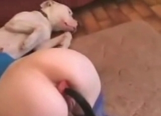 Bleached girl fucked by her dog