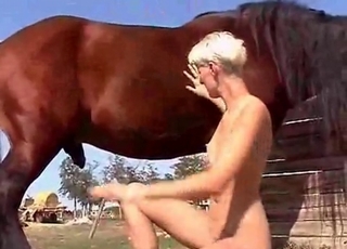 Outdoor zoo porn with a stallion