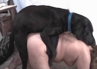 Crazy animal sex with a nice pet