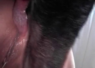 Crazy animal sex with a nice pet