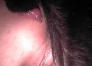 Crazy animal sex with a nice pet