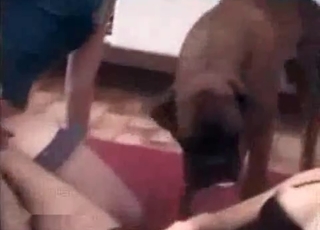 Dog licks my pussy so sweet