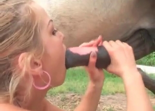 Horse gets into a hot bestiality