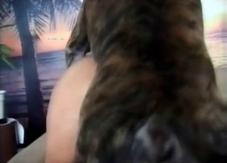 Zoo porn scene in close up