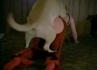 Bestial sex in the old hayloft