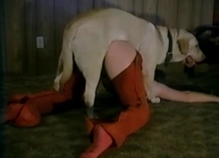 Bestial sex in the old hayloft