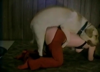 Bestial sex in the old hayloft