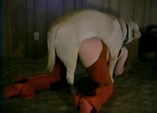 Bestial sex in the old hayloft