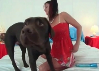 Brunette enjoys her doggy