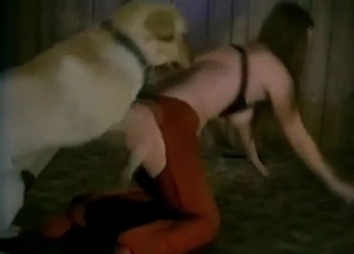 Bestial sex in the old hayloft