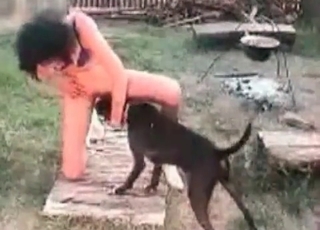 Mutt licking out a girl