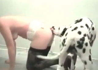 Pup fucking a horny lady