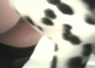 Pup fucking a horny lady