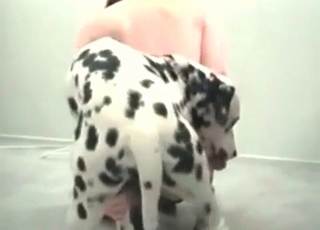 Pup fucking a horny lady