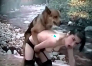 Lad nailed in doggy style
