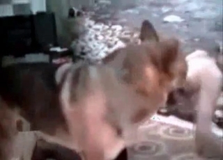 Lad nailed in doggy style