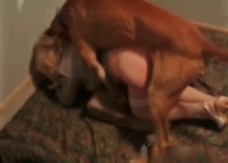 Cur pleases blonde chick