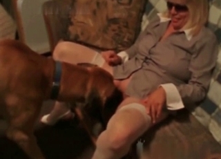 Cur pleases blonde chick