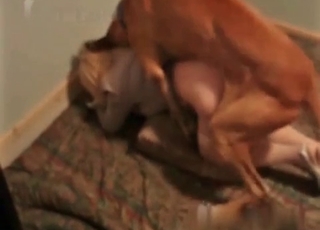 Cur pleases blonde chick
