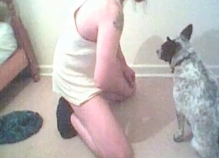 Dog sucking hard cock