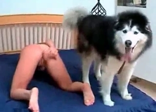 Mongrel fucking juicy pussy
