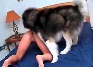 Mongrel fucking juicy pussy