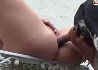 Dog fucks her tight wet anus