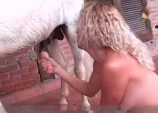 Curly haired babe enjoys a stallion