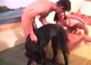 Dog drills her cunt like a pro