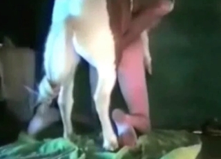 Doggy banging action in the barn