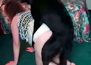 Mature zoophile fucked by a doggy