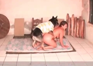 Licked out by a pooch