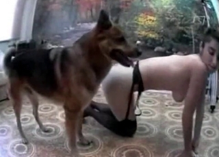 Shepherd is enjoying doggy style